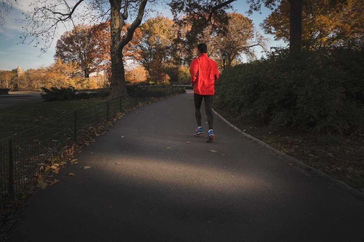 a jogger on a path