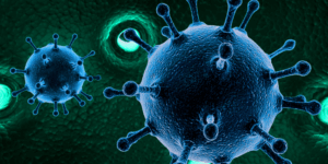 microscopic close up of a virus